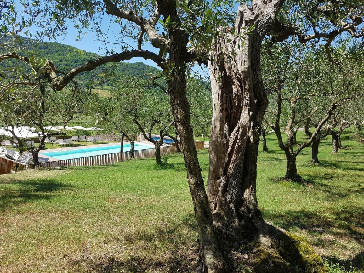 הוילה Il Vecchio Gelso - Agriturismo Rimini Montefiore Conca מראה חיצוני תמונה