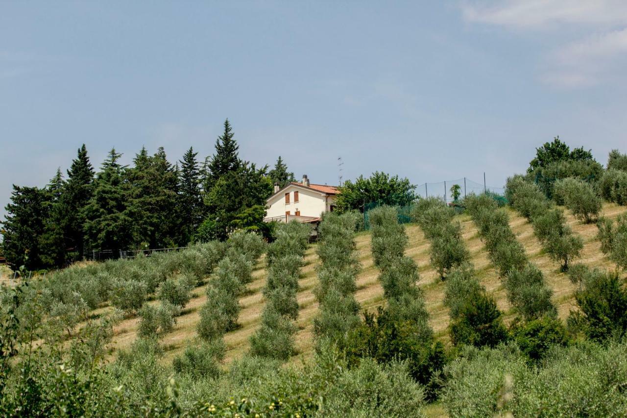 הוילה Il Vecchio Gelso - Agriturismo Rimini Montefiore Conca מראה חיצוני תמונה