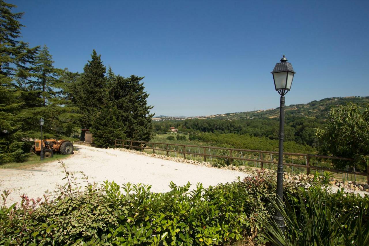 הוילה Il Vecchio Gelso - Agriturismo Rimini Montefiore Conca מראה חיצוני תמונה