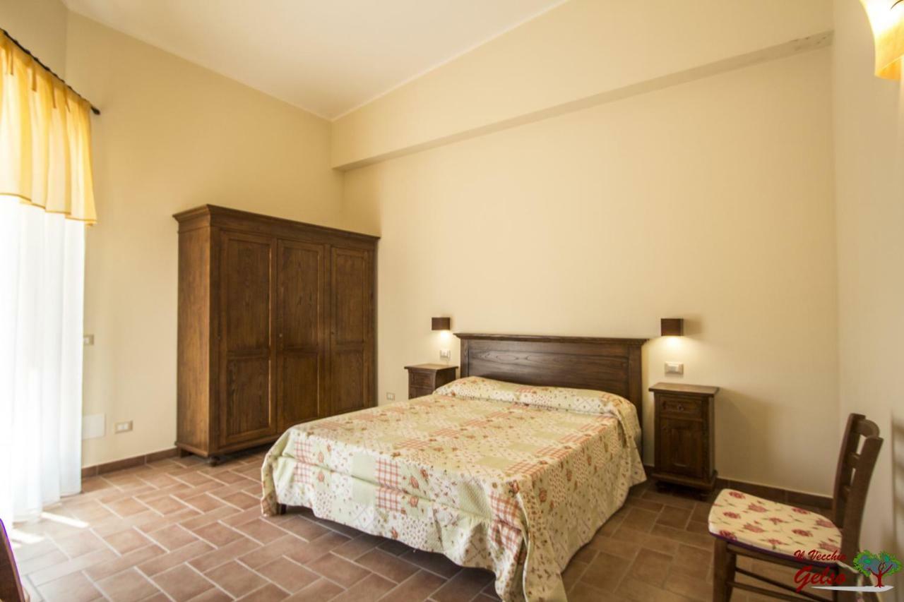 הוילה Il Vecchio Gelso - Agriturismo Rimini Montefiore Conca מראה חיצוני תמונה
