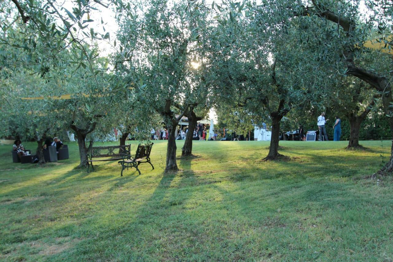 הוילה Il Vecchio Gelso - Agriturismo Rimini Montefiore Conca מראה חיצוני תמונה