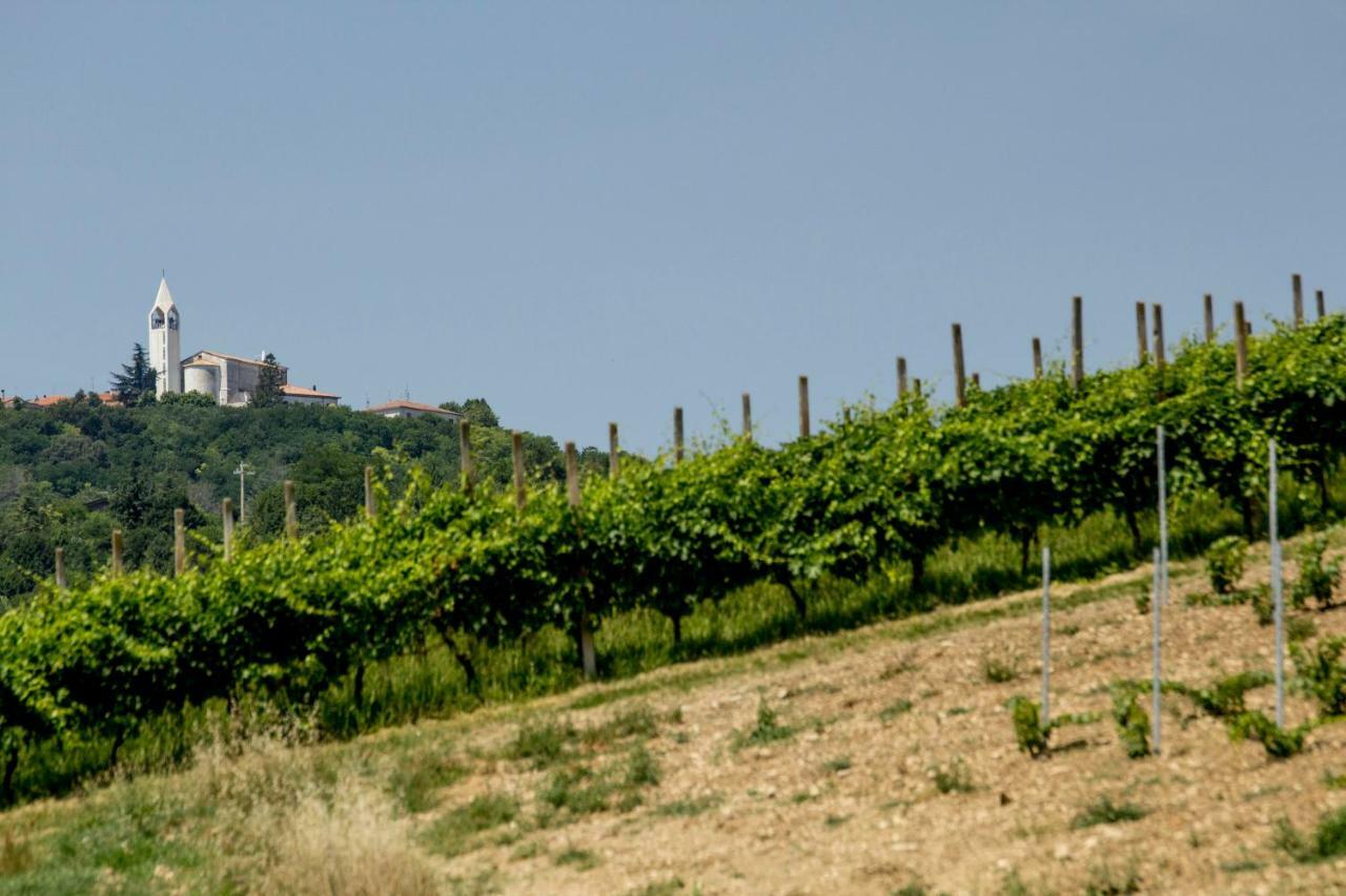 הוילה Il Vecchio Gelso - Agriturismo Rimini Montefiore Conca מראה חיצוני תמונה